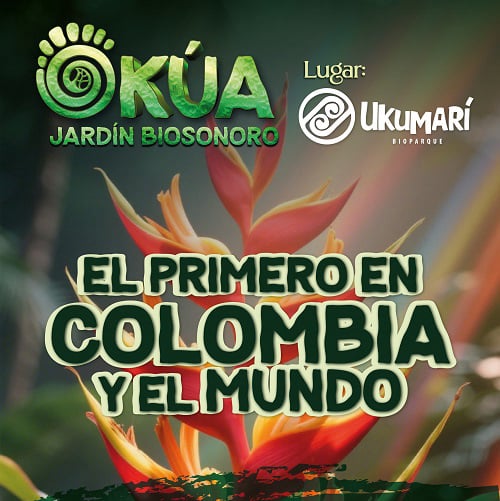 Ukumari + okua